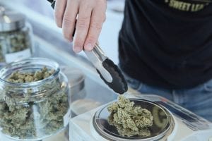 Man using tongs to place marijuana on scale; image by Get Budding, via Unsplash.com.