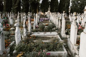 Cemetery with flowers; image by Anton Darius, via Unsplash.com.