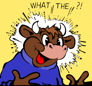 Cartoon cow in sweater saying, &ldquo;What the&hellip;?&rdquo; Image by OpenClipart, via FreeSVG.com, CC0 Public Domain.