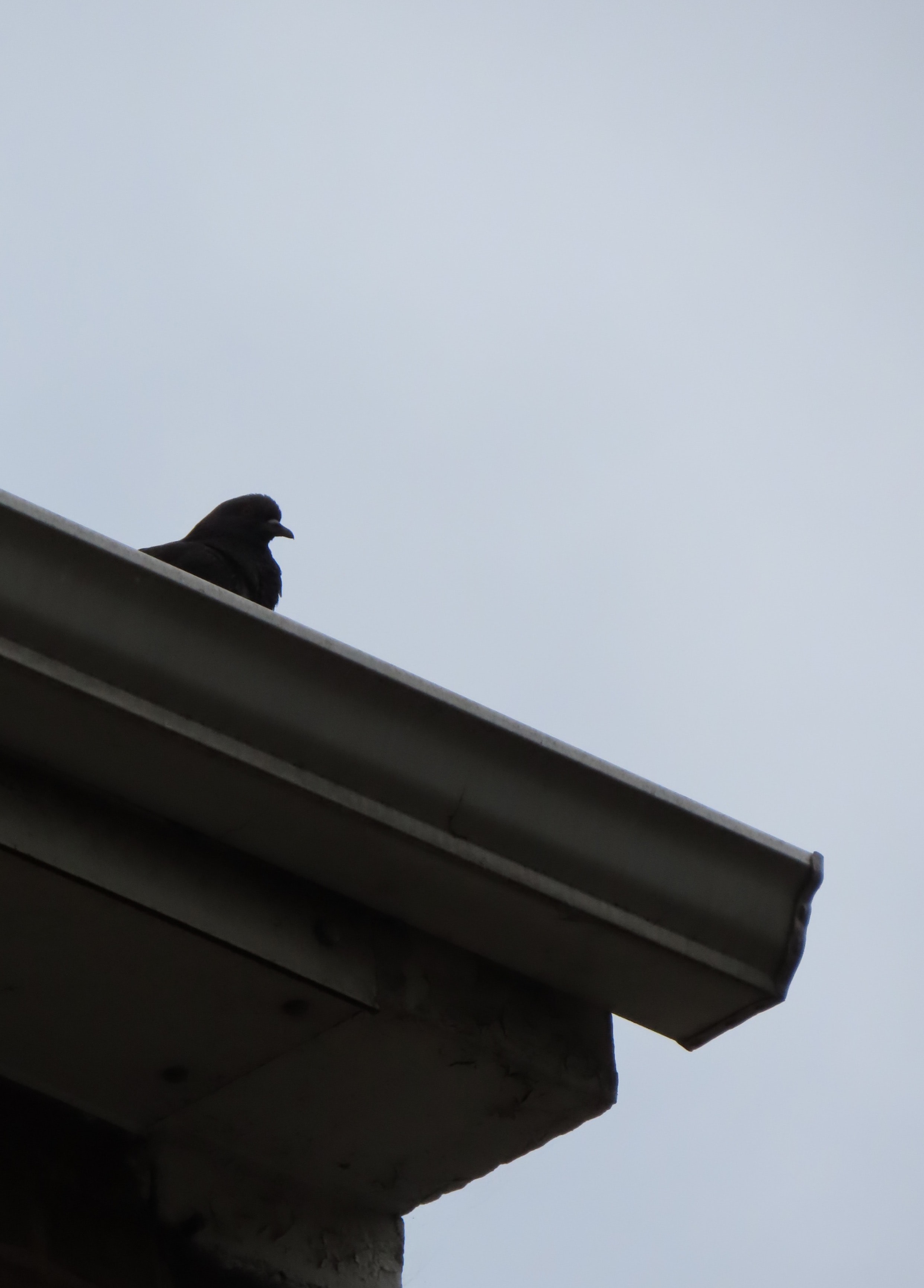 Image by Keith Dodrill, via Unsplash.com.