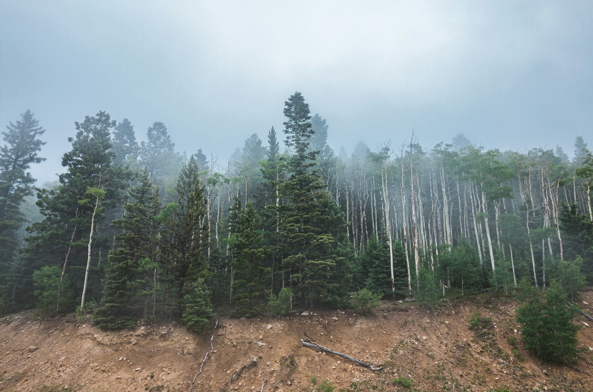 Soil erosion atop the hills in Santa Fe National Forest; image by Luke Southern, via Unsplash.com.