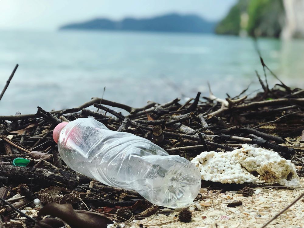 What Impact Does Plastic Pollution Have on Heart Health?