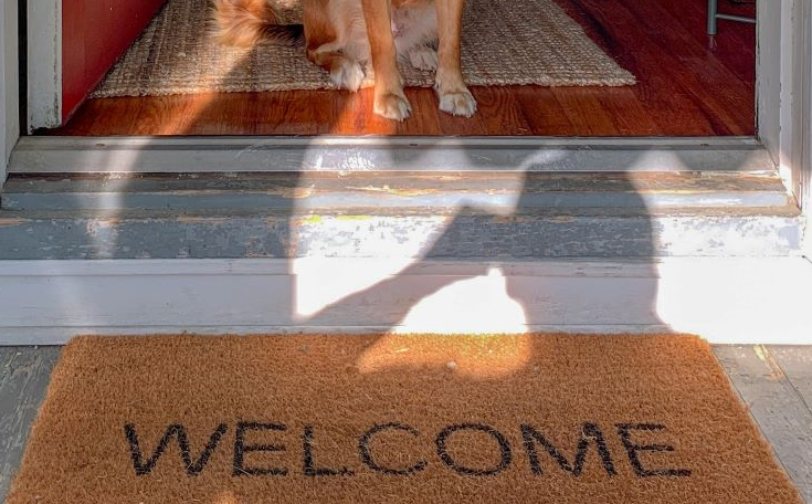 Angie Harmon Sues Instacart After Delivery Driver Fatally Shoots Dog